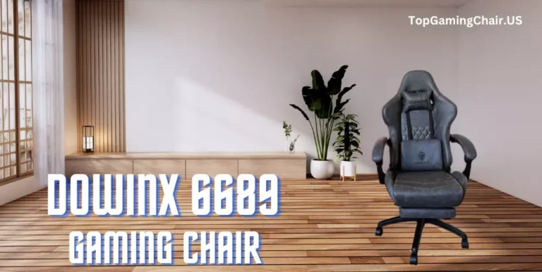Dowinx 6689 Gaming Chair