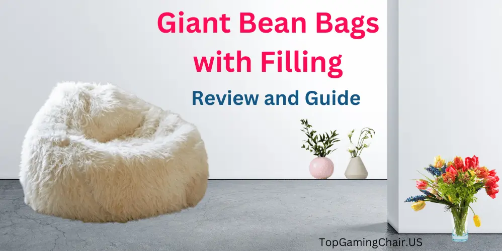  Giant Bean Bags with Filling